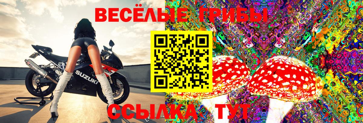 Советская Гавань  Галлюциногенные грибы Psilocybine cubensis  Галлюциногенные грибы Psilocybe  Вход с VPN 